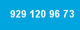929 120 96 73